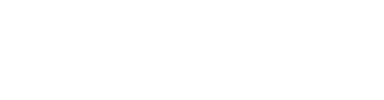 Momentum Warranty